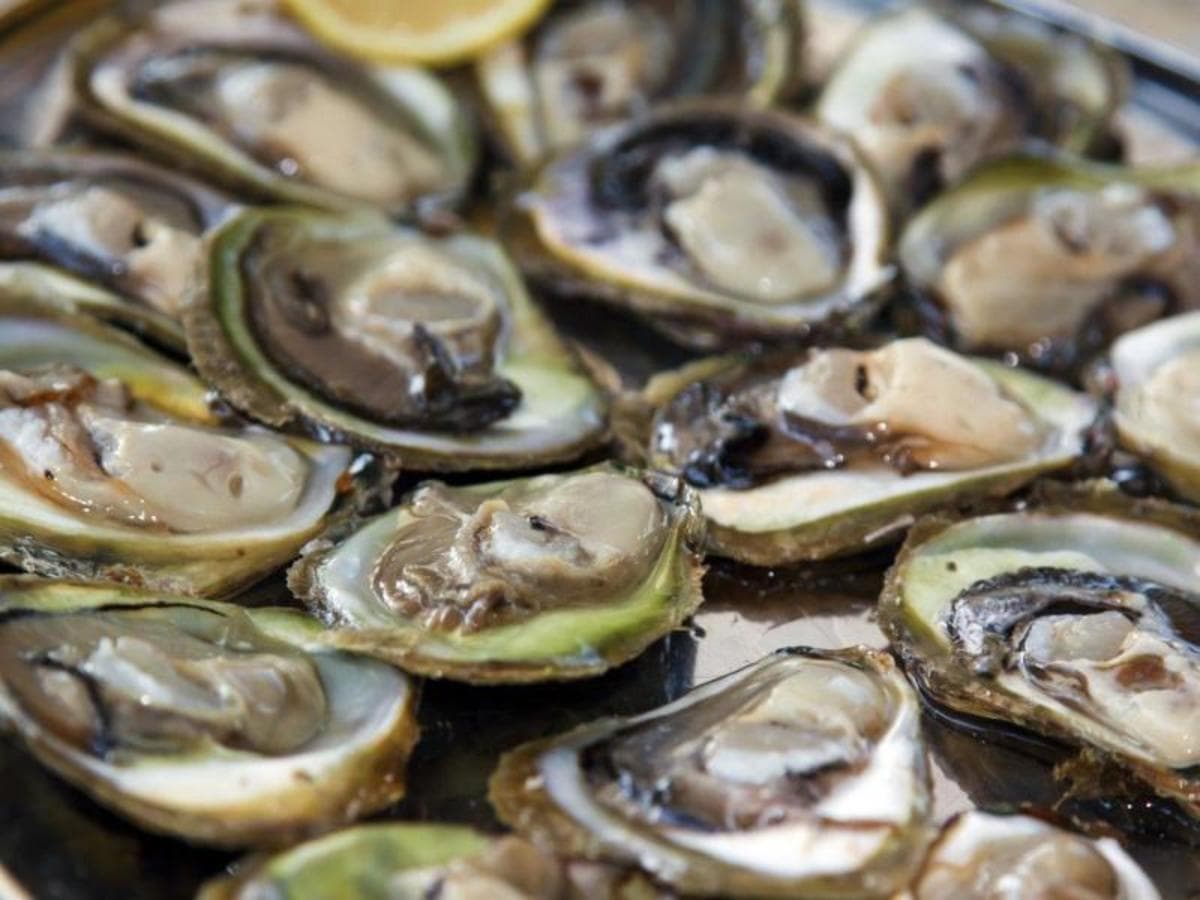 Explore Istria y Dalmacia en 8 días, Conducción por cuenta propia