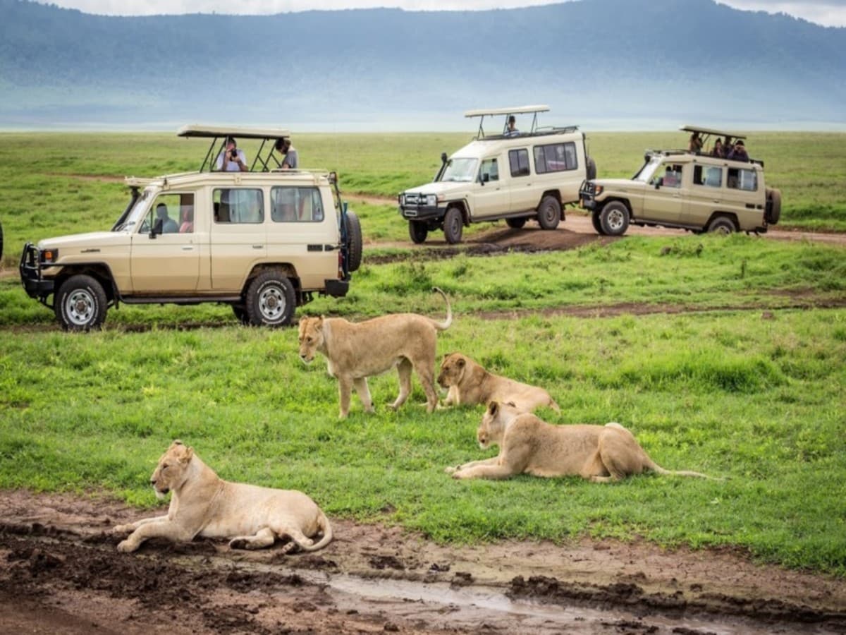 Safari en Kifaru, Serena Lodges - Tour Privado