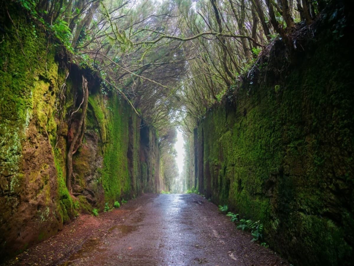 Norte y Sur de Tenerife, Conducción por cuenta propia