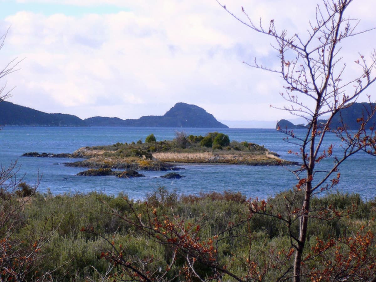 Ushuaïa classique en 4 jours : parc national de la Terre de Feu, guide francophone