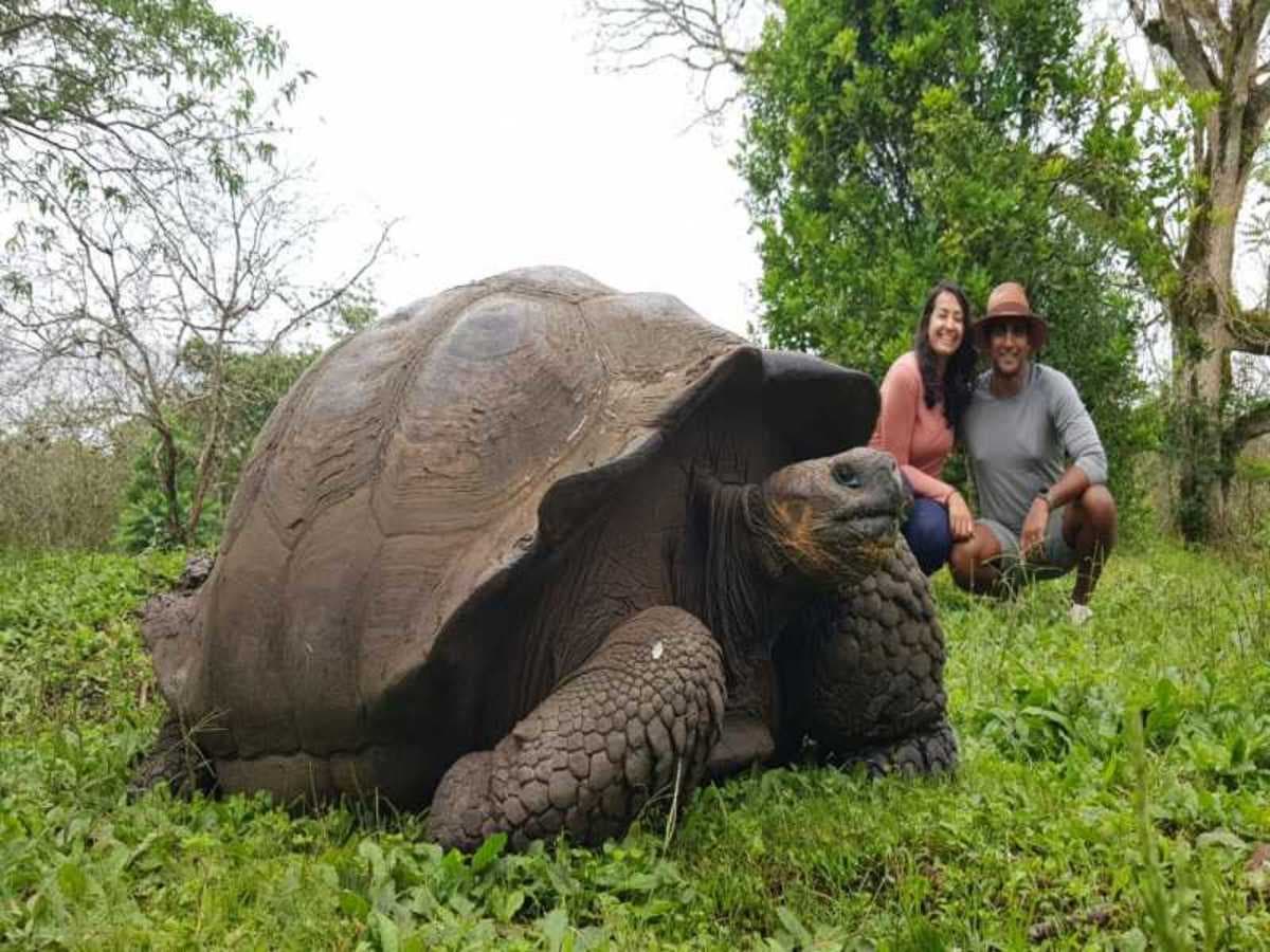 6 Días de Escapada a las Galápagos: Senderos Volcánicos y Encuentros con la Vida Silvestre
