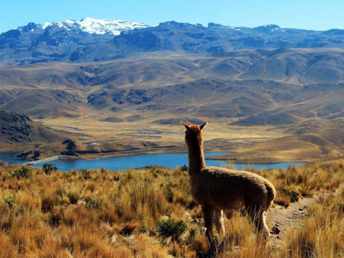 Huaraz, el corazón de las montañas - Tour semiprivado
