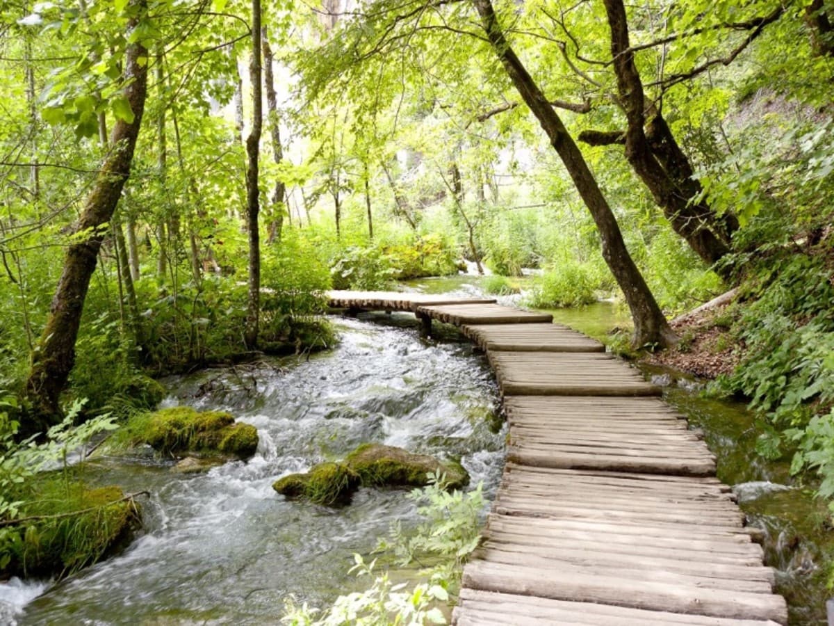 UNESCO Heritage, Self-Drive