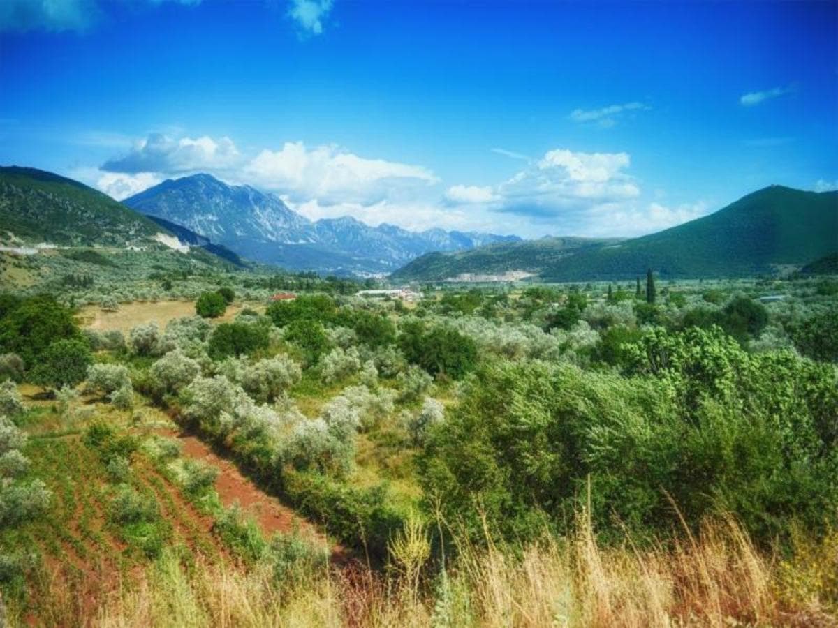 Grecia classica, tour privato