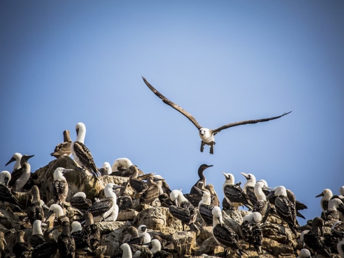 Enigmas del Sur, Tour Privado