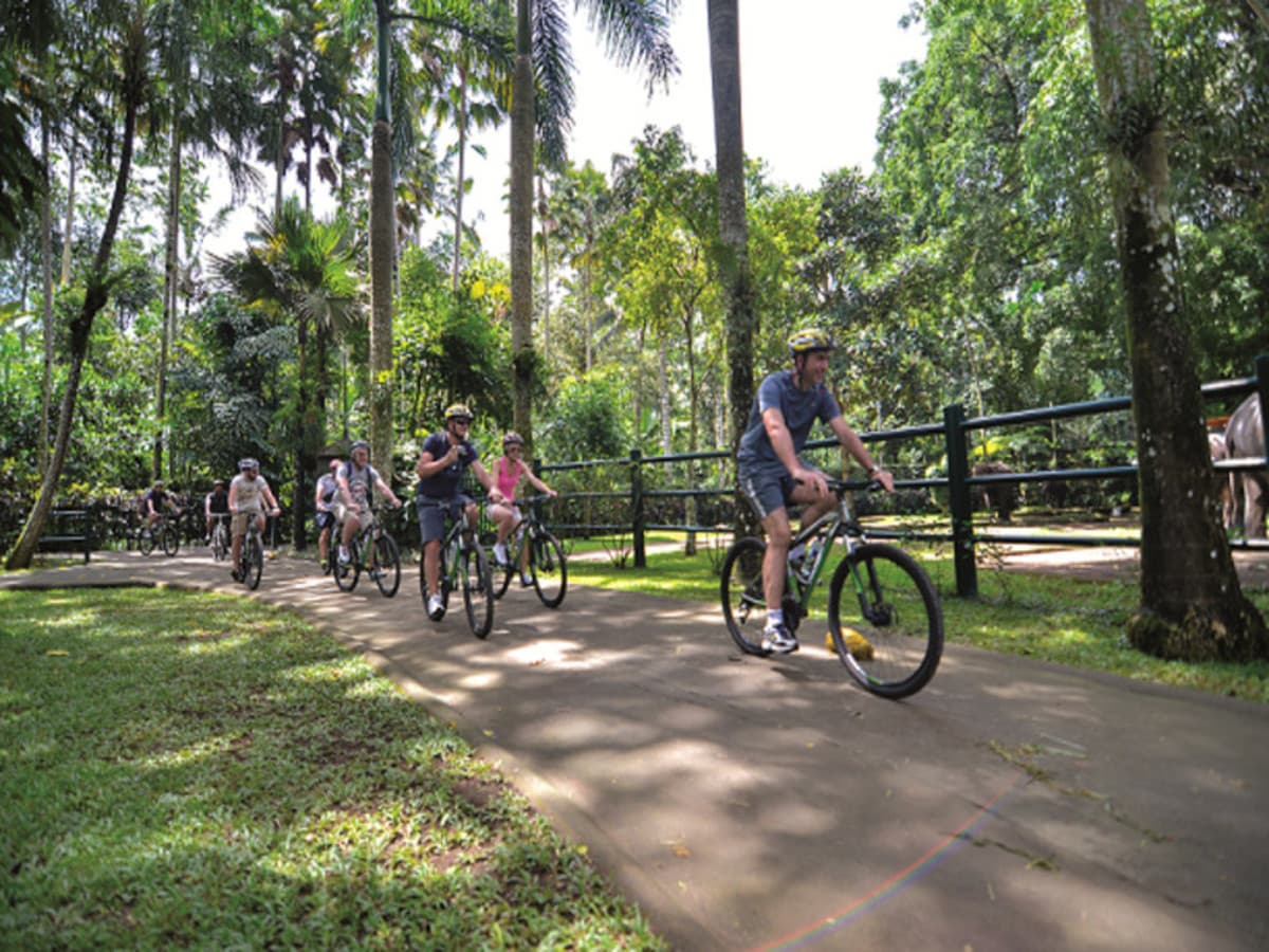 E-Bike: South Ubud Villages and Nature