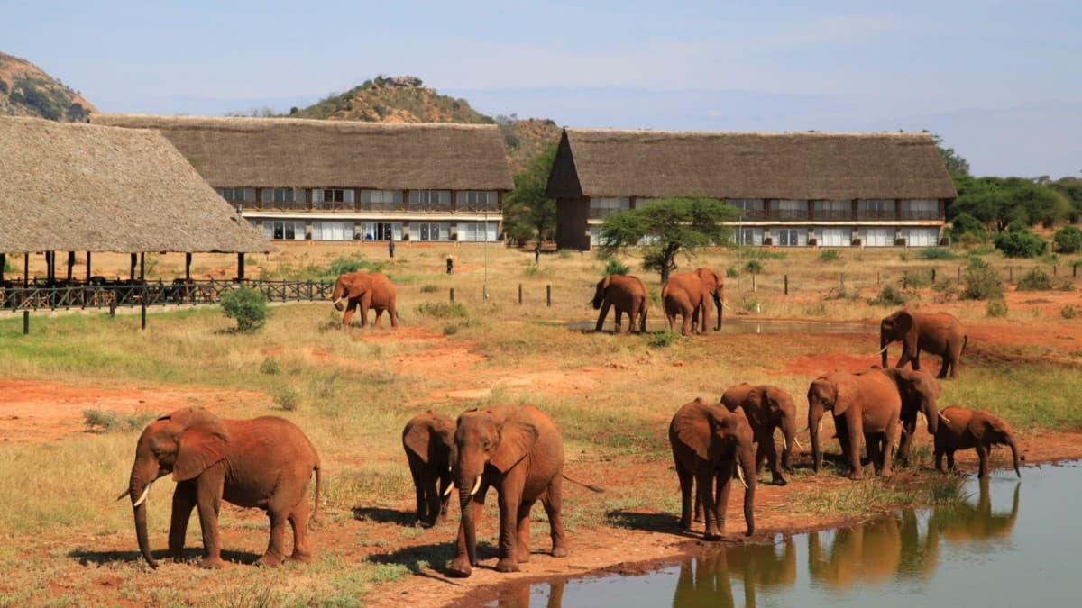 1 Night Safari Tsavo East