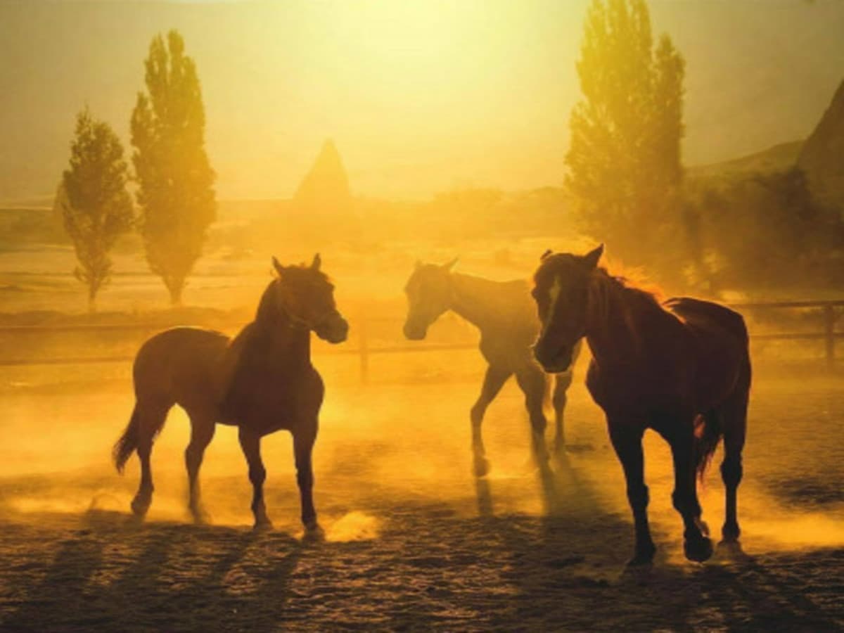 Les villes passionnantes