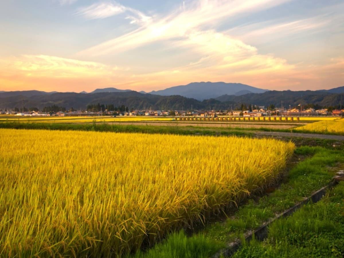 Grande boucle japonaise – Long circuit individuel en 3* (18 nuits)