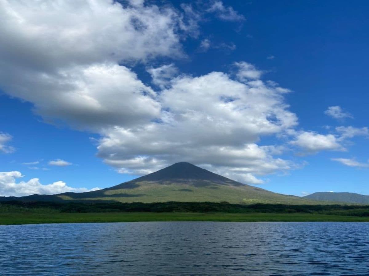 Pure Life Experience