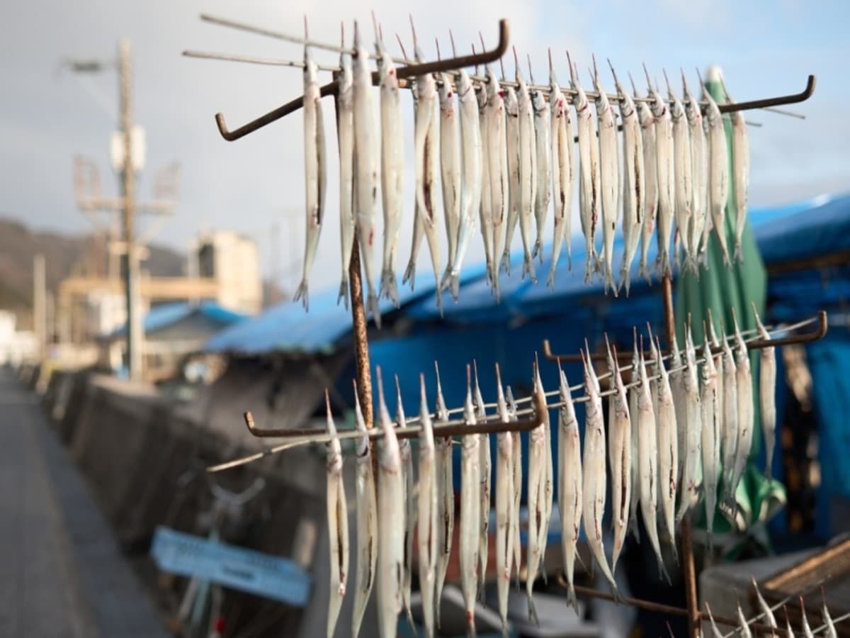 Circuit individuel : Japon Authentique en 4*