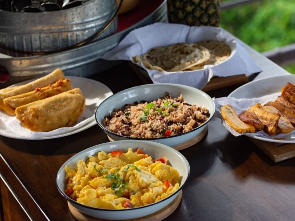 Pure Life Experience