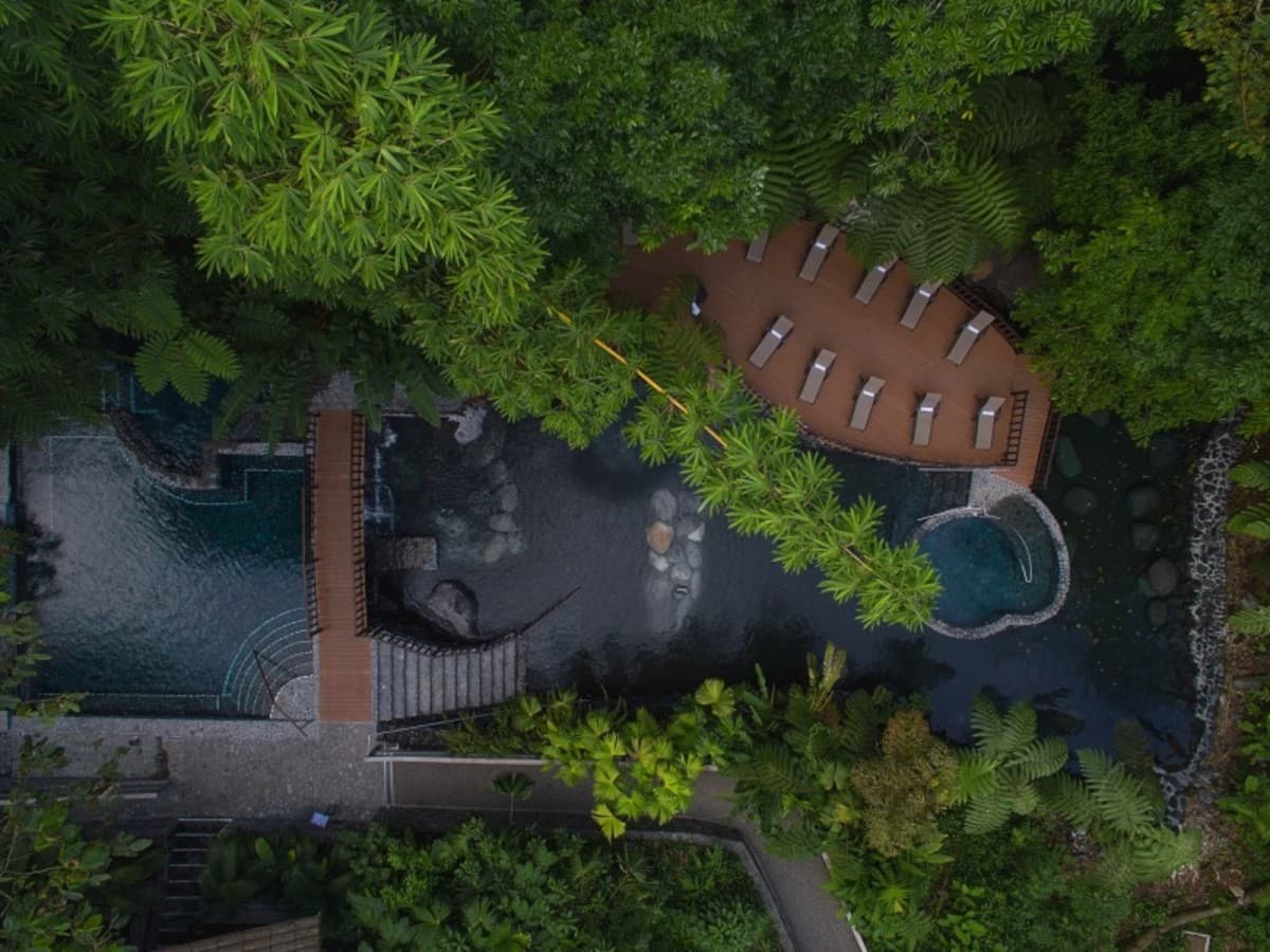 Pure Life Experience