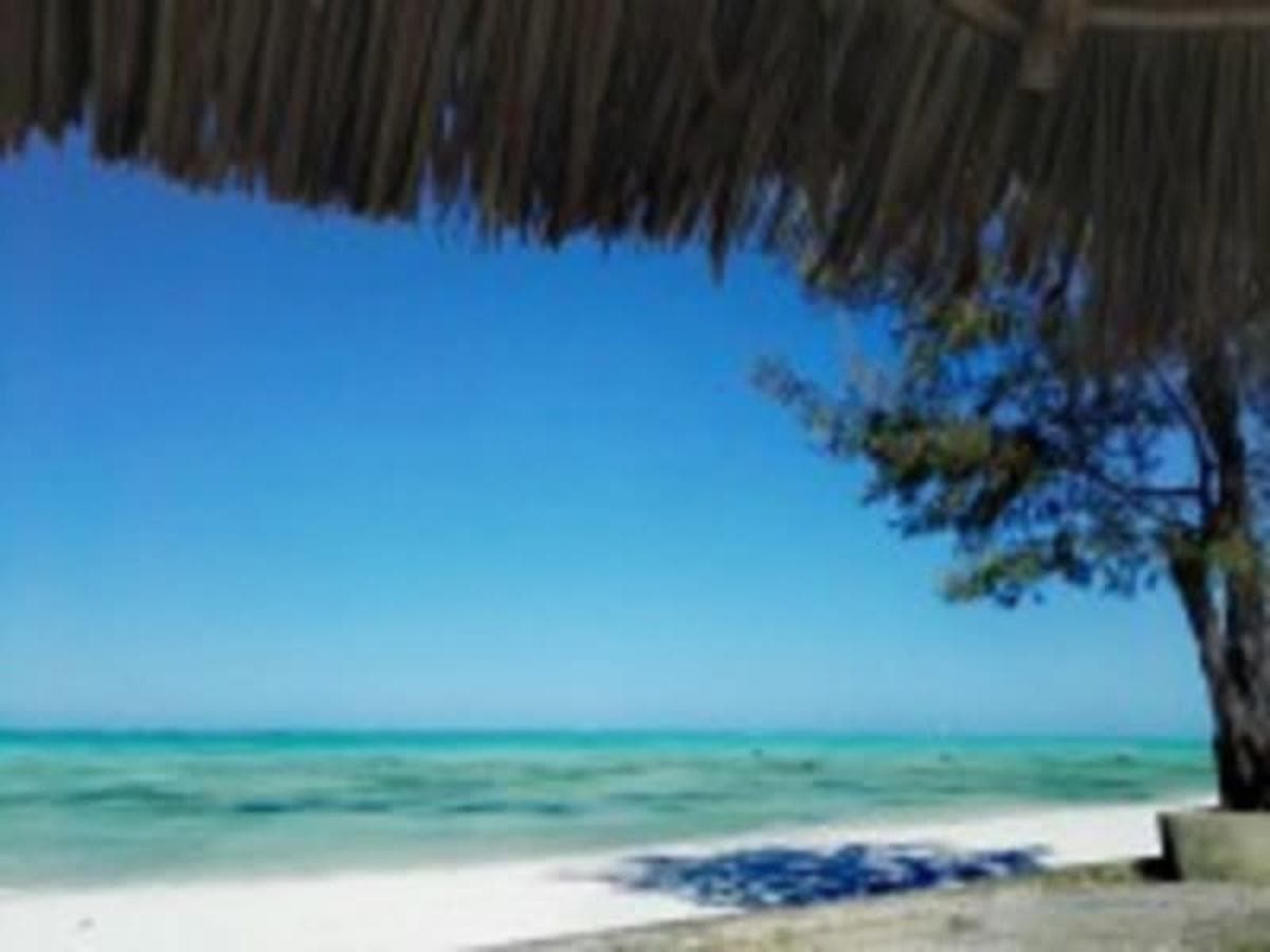 Sur Les pistes de Tanzanie, Ngorongoro