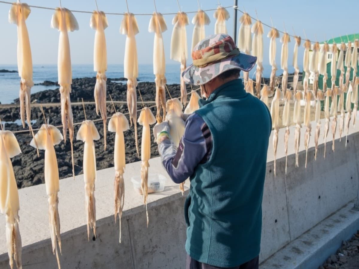 Circuit individuel : Corée intégrale