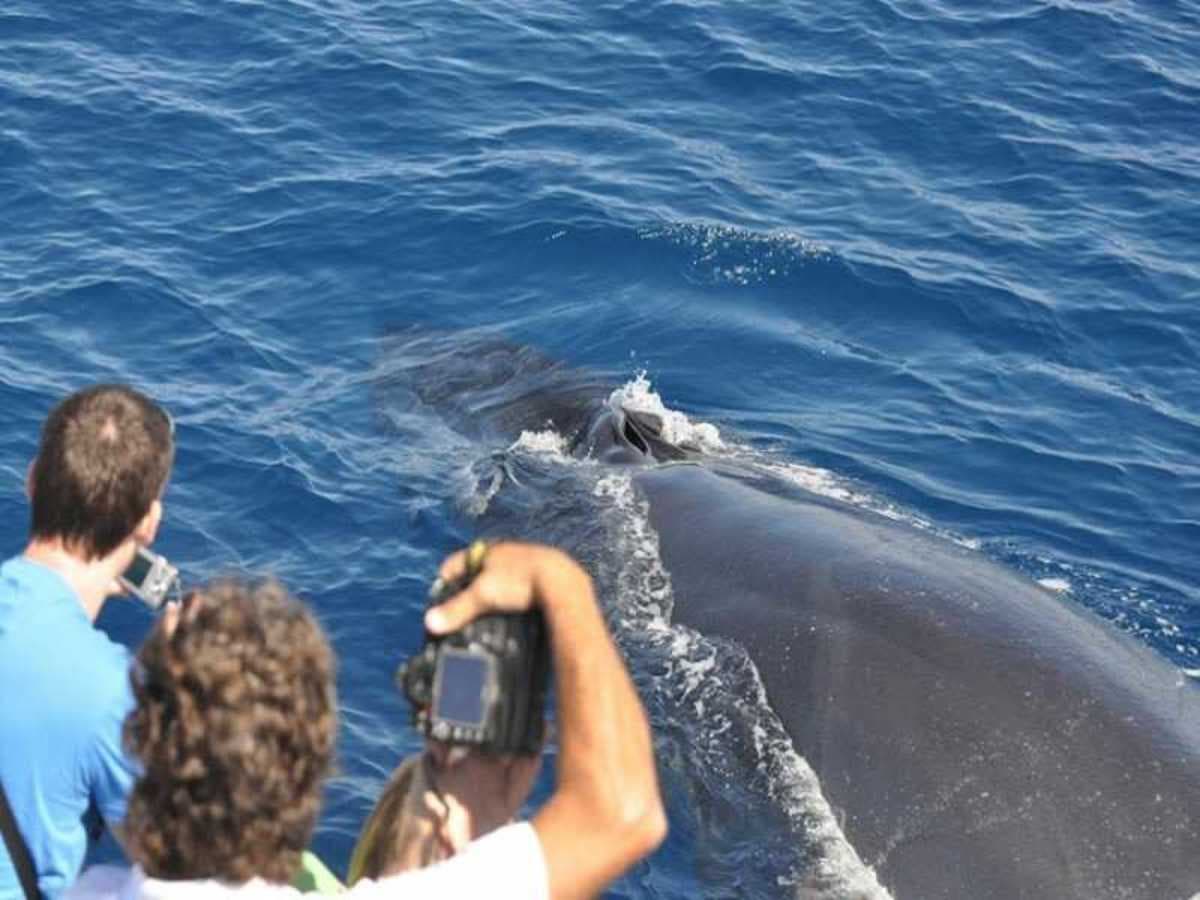 Gran Canaria Essenza del Sud