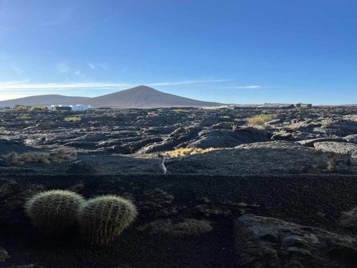Lanzarote dans son intégralité