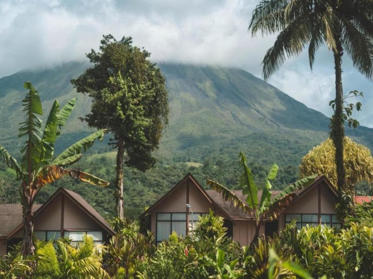 From Jungle to Coast