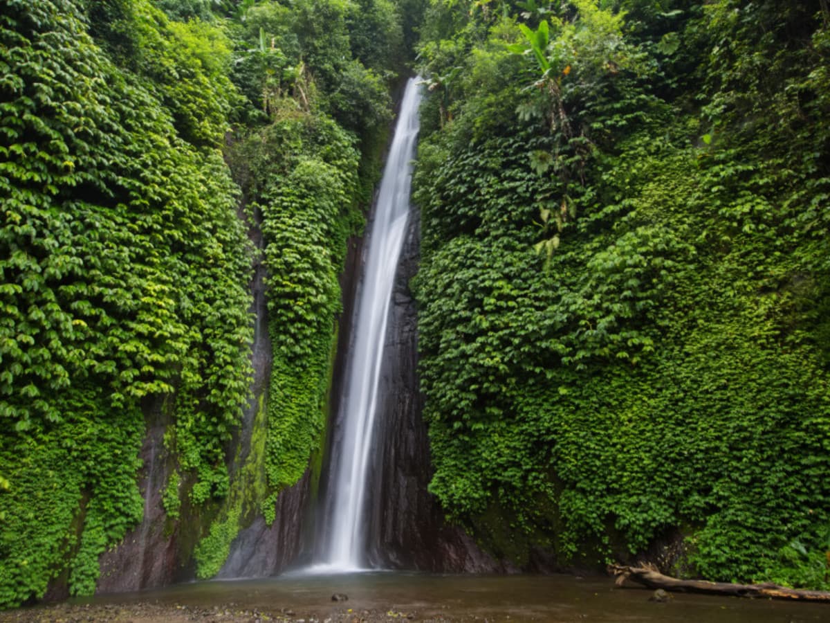 Bali Roundtrip - Deluxe (Guarantee Spanish Speaking Guide)