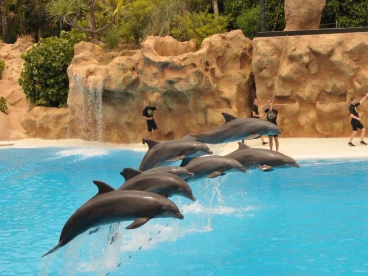 Tenerife Sur: Sole e Paradiso