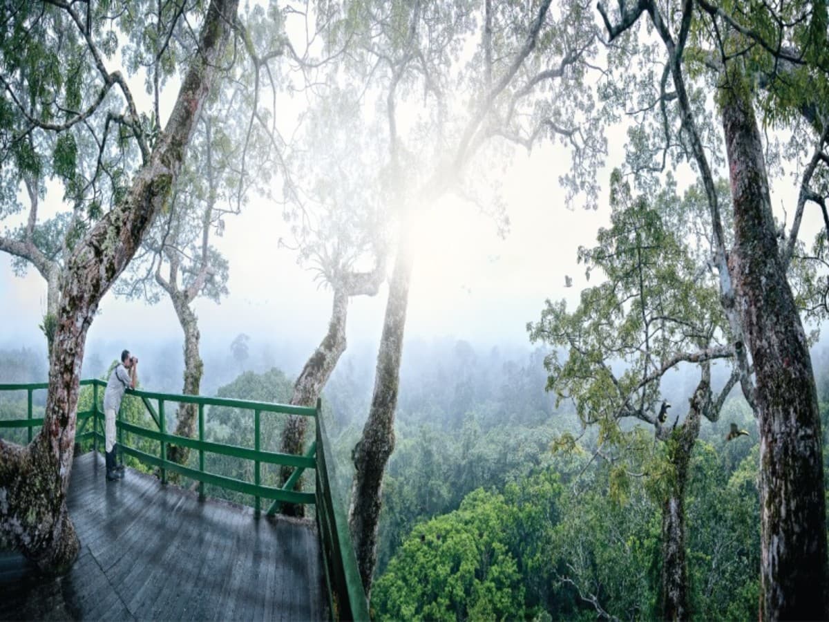 Ecuador in Immersion