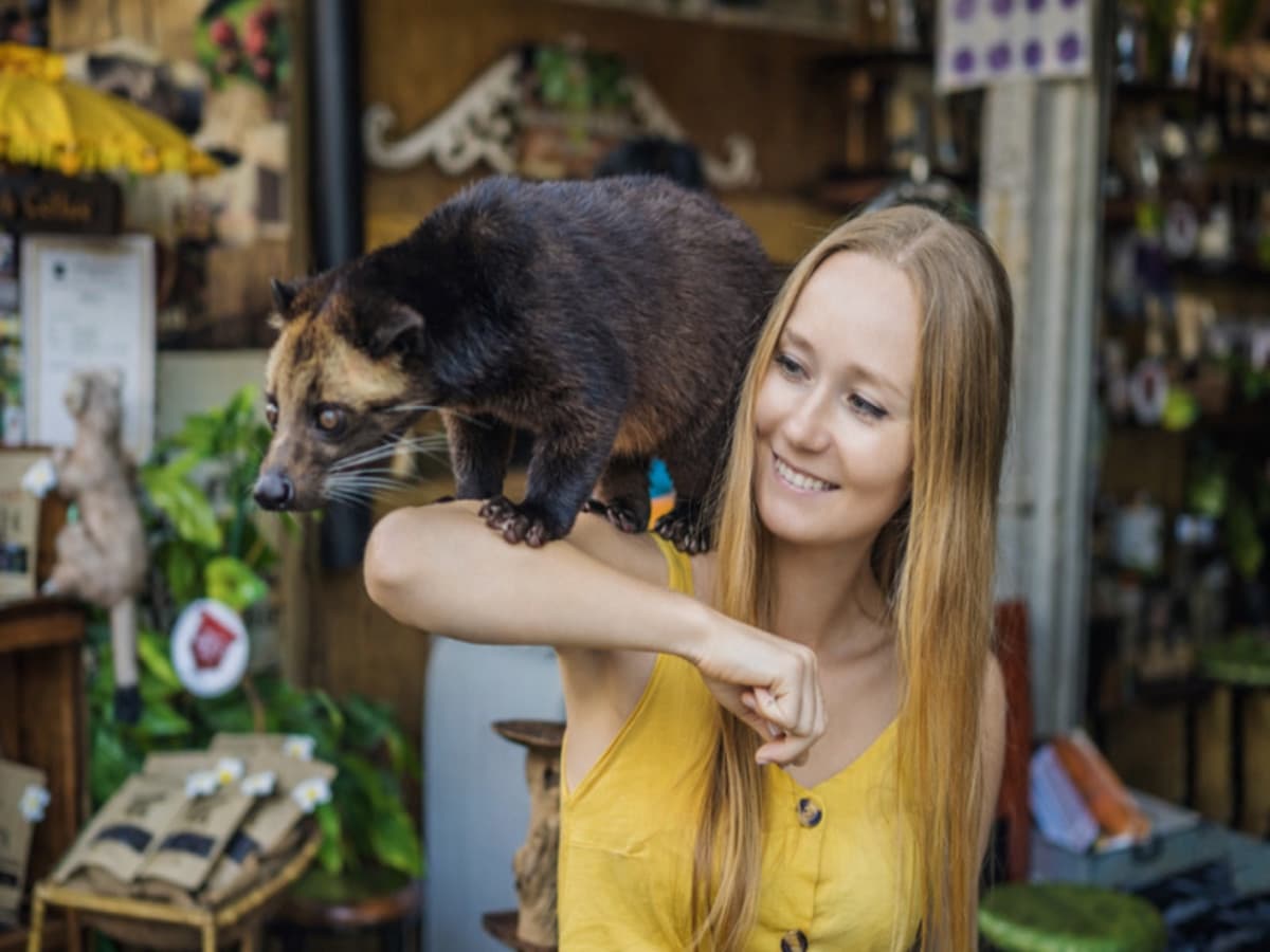 Le Tracce Segrete Del Tempio Di Gunung Kawi (Pranzo Incluso)