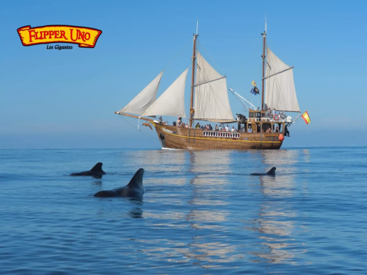 Tenerife Sur: Sole e Paradiso