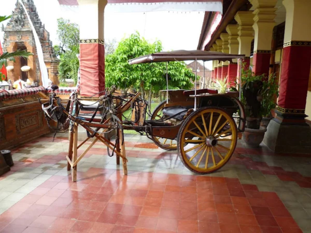 Symphony of Klungkung (Pranzo Incluso)