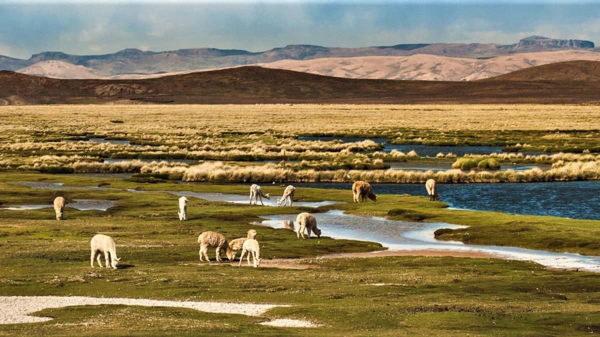 Circuit Pérou en mode exclusif