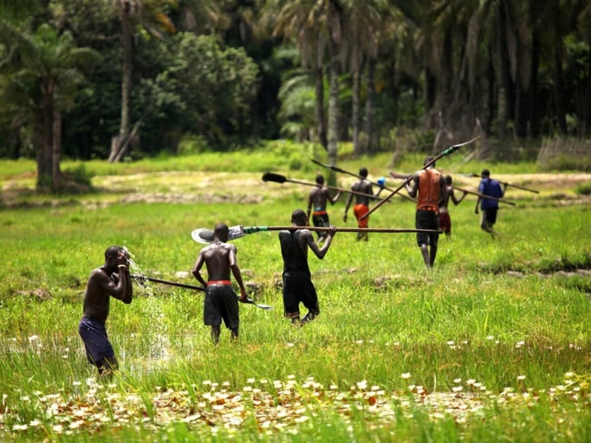 Casamance, Des Iles Et Des Hommes