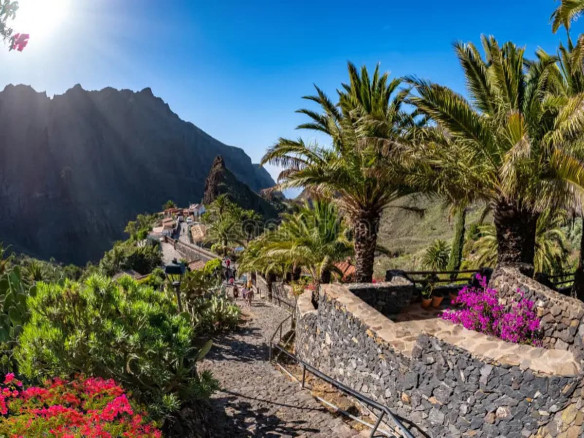 Nord de Tenerife: Explore Sans Limites