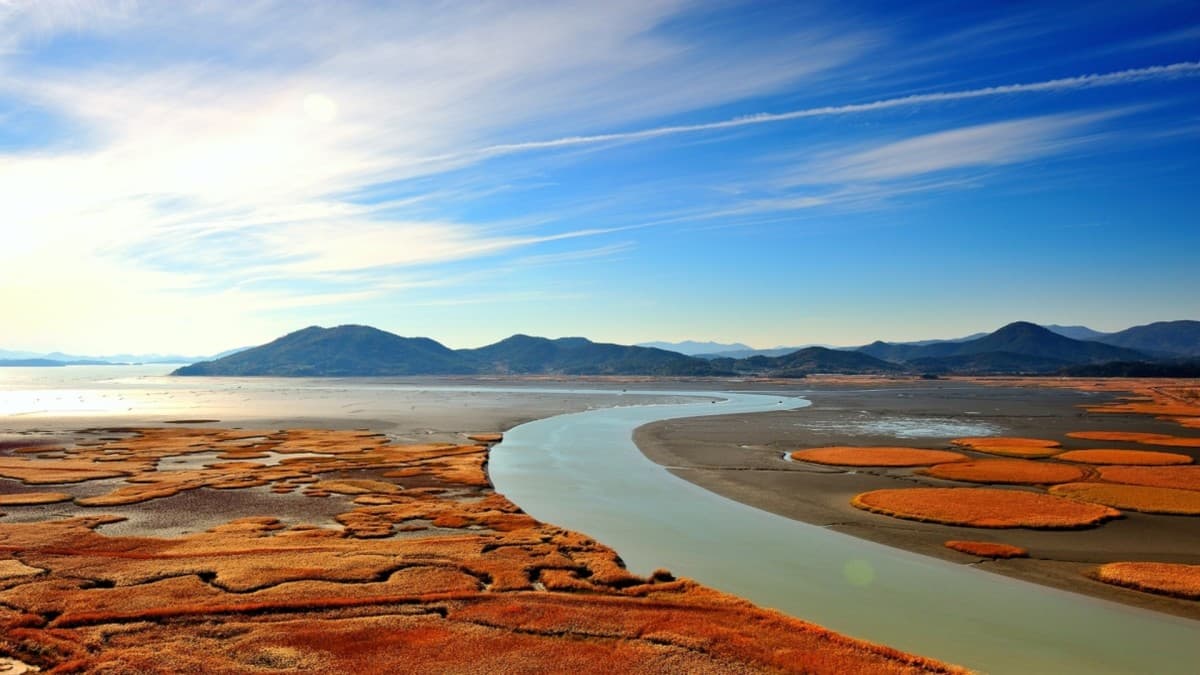 Circuit individuel : Corée intégrale