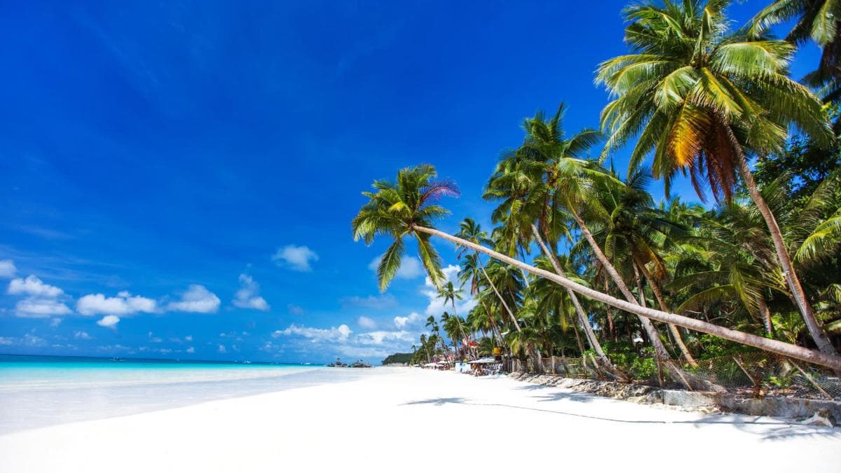 Les Merveilles de Palawan (4* / 5*) $