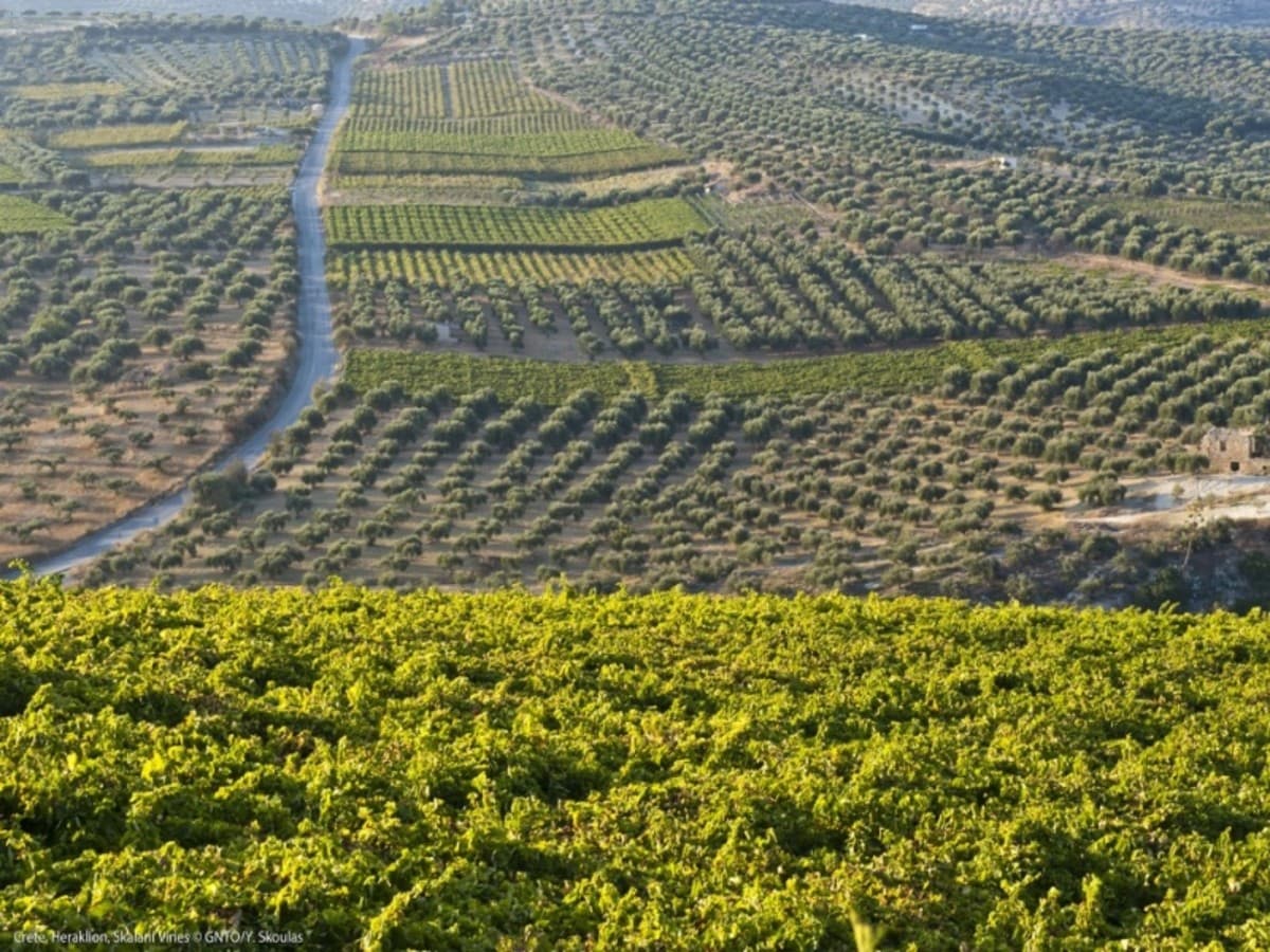 Autotour Escapade crétoise en 3*