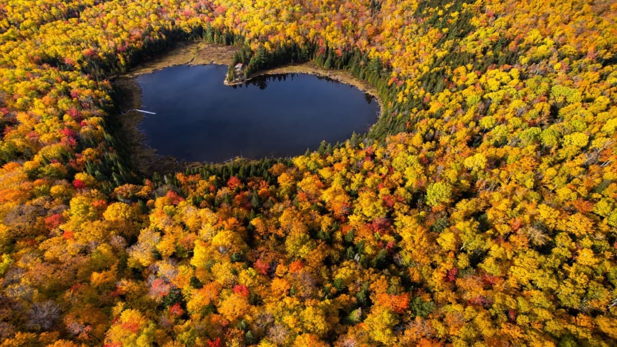 Canada Est : Sentiers, lacs et forêts