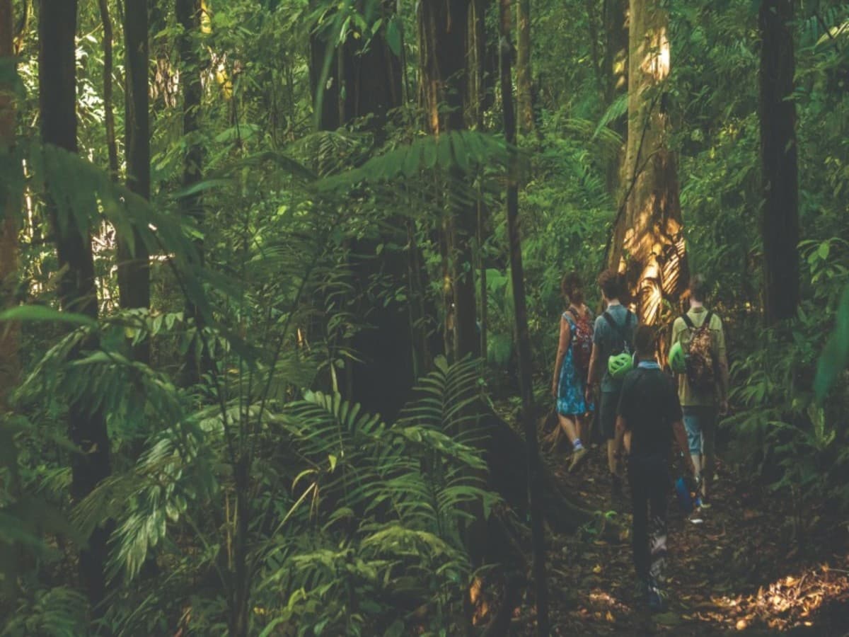 Extension to Puerto Jimenez, South Pacific / 3 nights