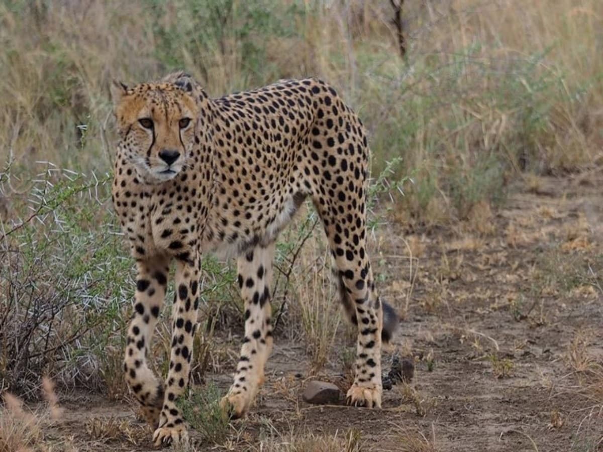 Southern Palms Beach Resort & 1 Night Safari