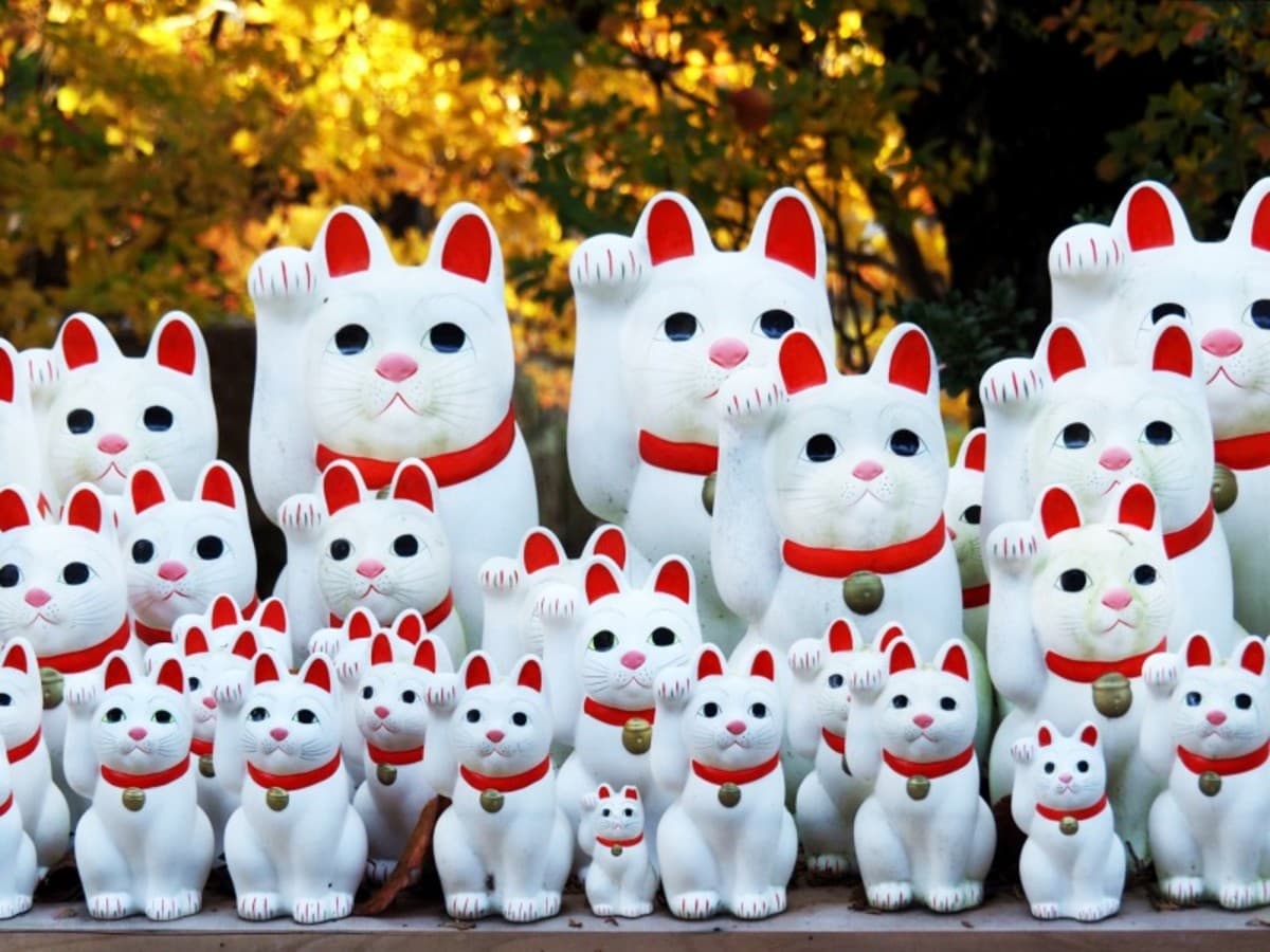 Immersione nell’Universo Giapponese 3*