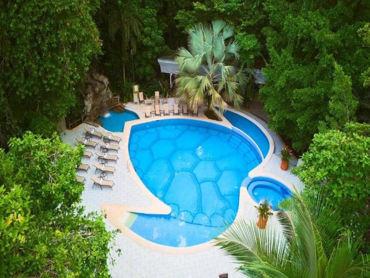 From Jungle to Coast