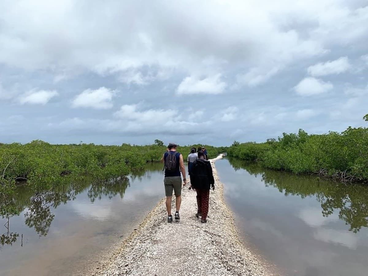 Casamance, Des Iles Et Des Hommes