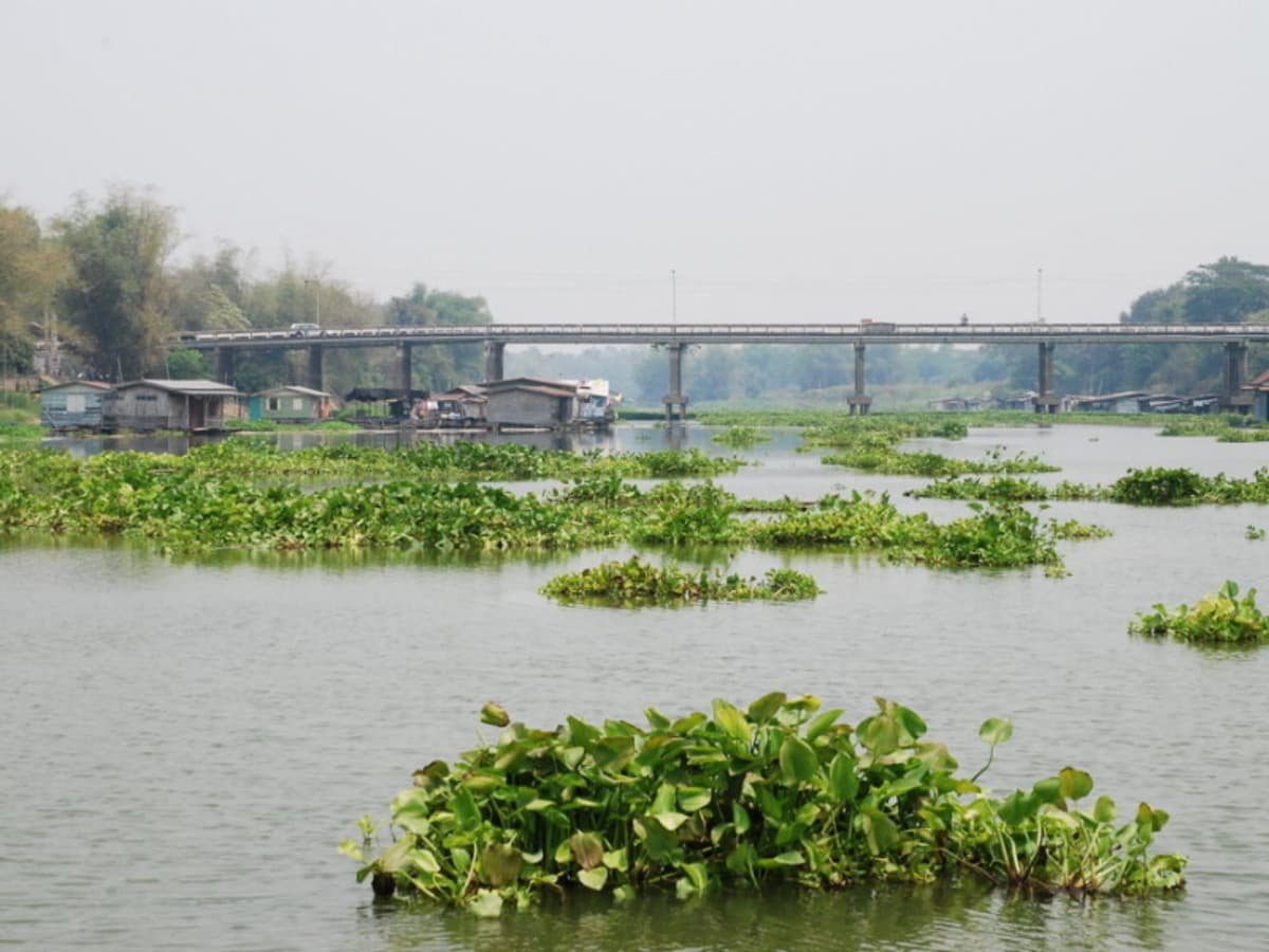 O1. Thaïlande à la folie