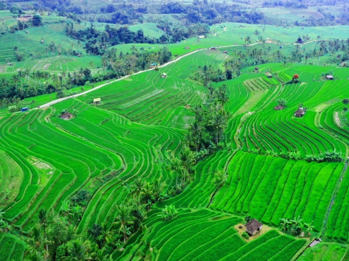 Bali Roundtrip - Deluxe (Guarantee Spanish Speaking Guide)