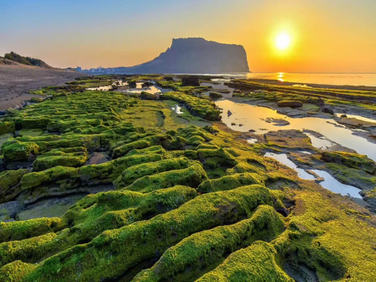 A la découverte de la Corée du Sud