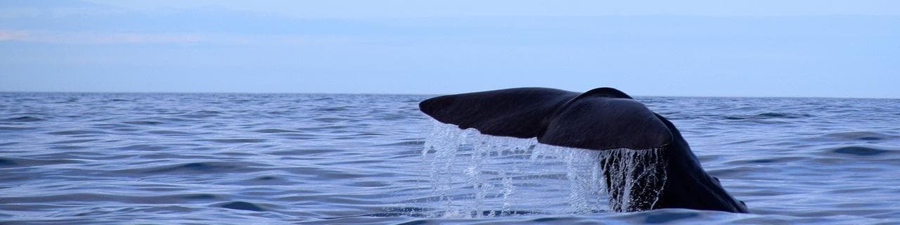 Нордланд, Норвегия