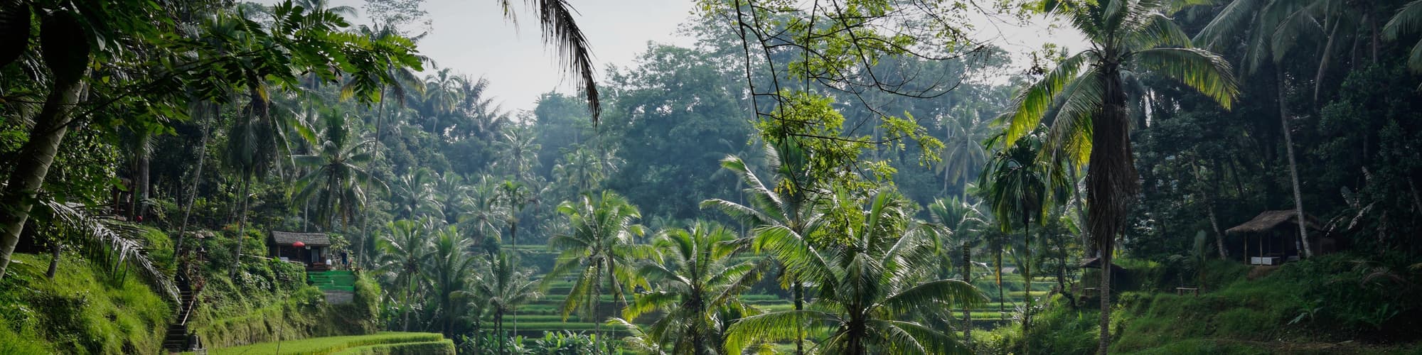 Sukavati, İndoneziya