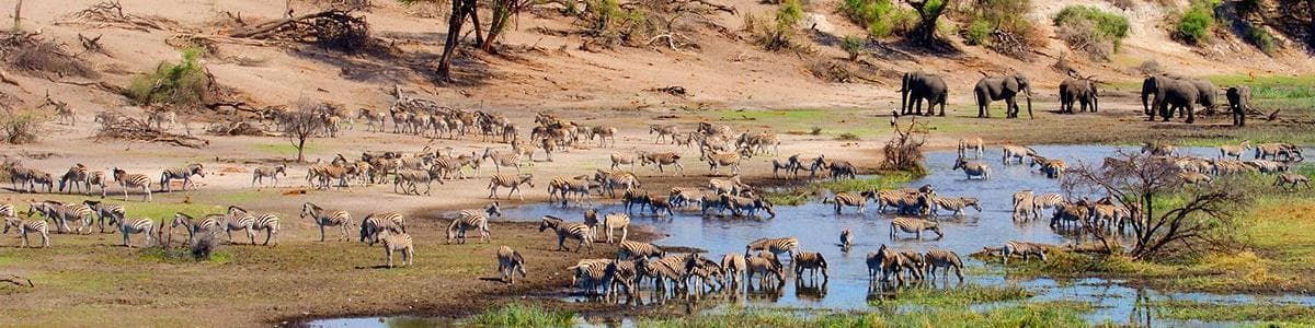 Makgadikgadi Pans (National Park), Botswana