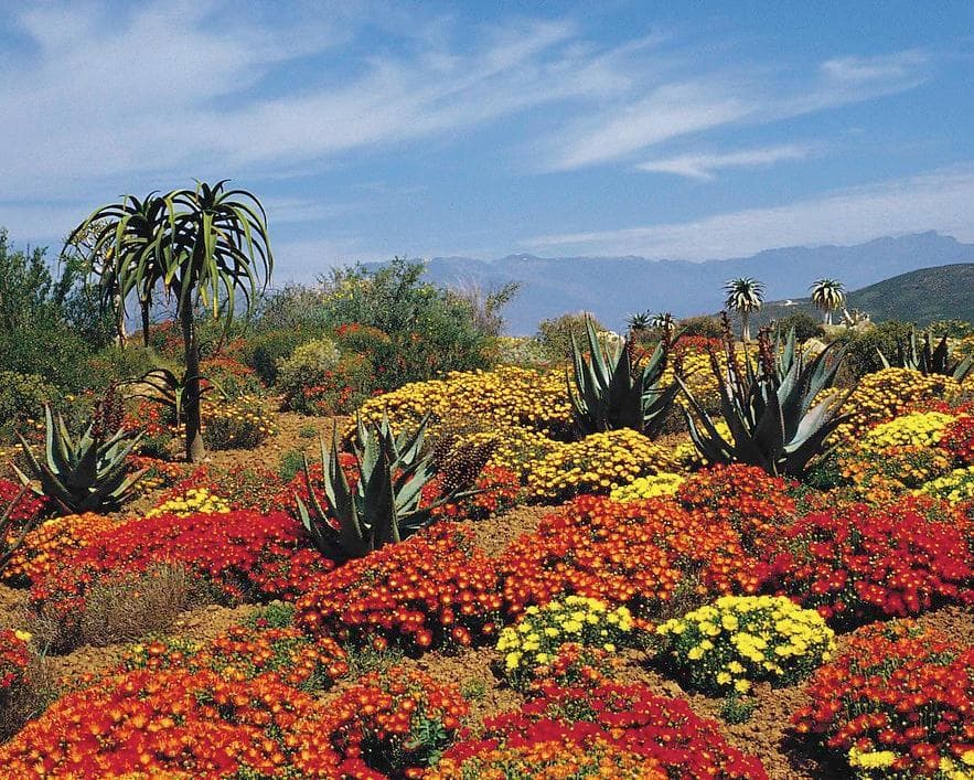 Great Karoo, South Africa