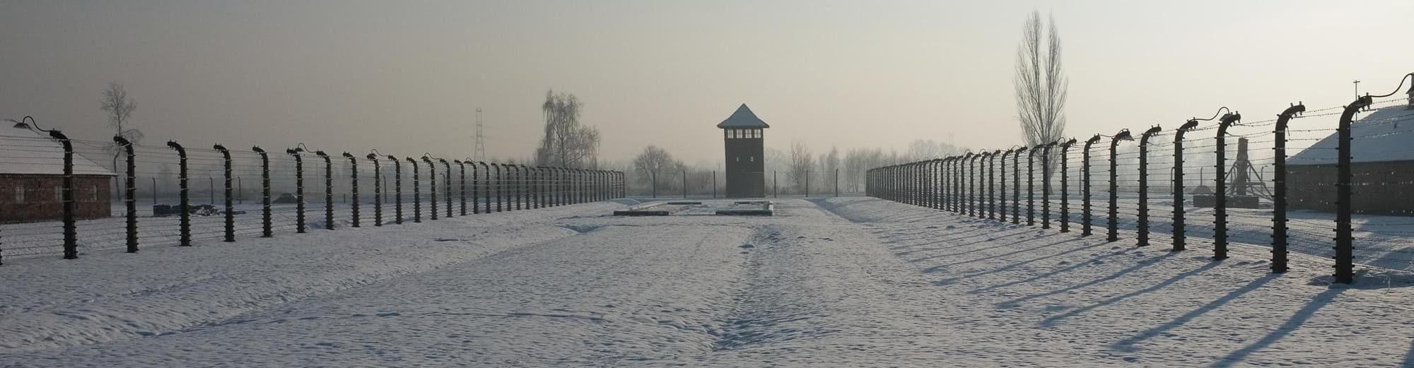 Auschwitz, Polonia