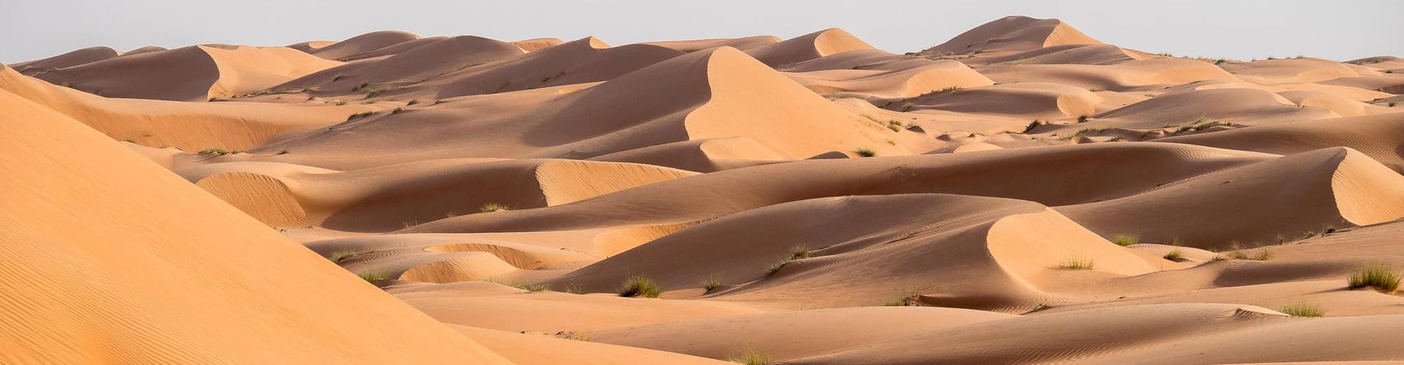 Wahiba Sands, Oman