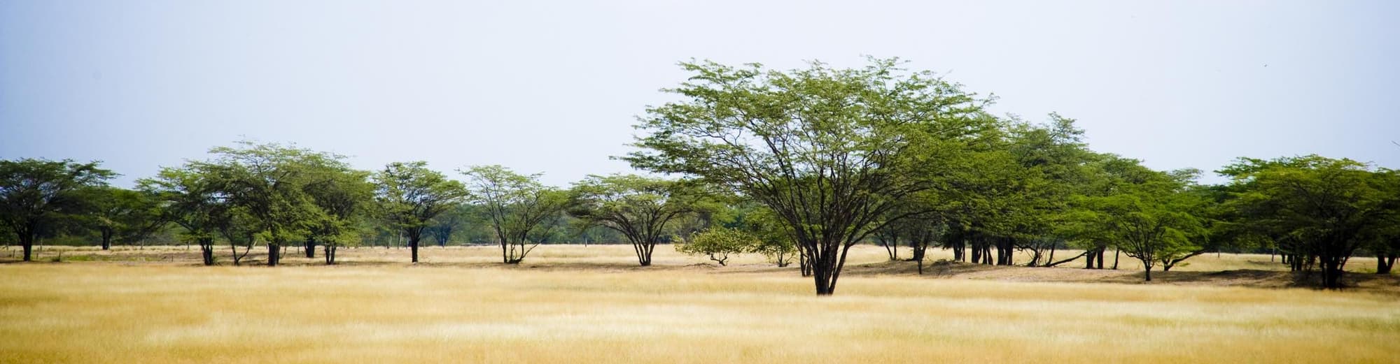Valledupar, Colombia